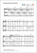 Hinunter ist der Sonne Schein