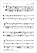 Ach, bittrer Winter (arr. Schanderl)