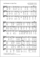 Am Brunnen vor dem Tore