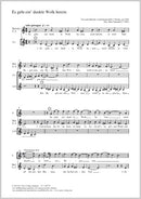 Es geht ein' dunkle Wolk herein