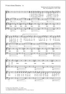 S' one strane Dunava (SATB)