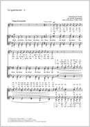 Lu guarracino (SSAA)