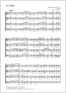 Ave Maria, op. 60, 25