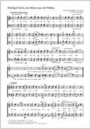 Heiliger Geist, du rüstest aus mit Stärke