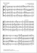 Terra tremuit (Die Erde erbebte und verstummte)