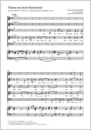 Tränen tun mein Elend kund