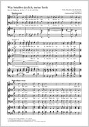 Was betrübst du dich, meine Seele, MWV A 15