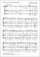 Weißt du, wie viel Sternlein stehen