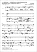 O Luna lucente, di Febo sorella (O Mond, Phoebens Schwester), Hob. XXVIII:7