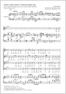 Infelici ombre dolenti (Fünfmal hundert Jahr), Hob. XXVIII:13