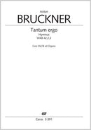 Tantum ergo in D major, WAB 42