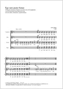 Ego sum pastor bonus