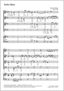 Stabat Mater (Ausschnitte)