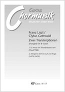 Zwei Transkriptionen