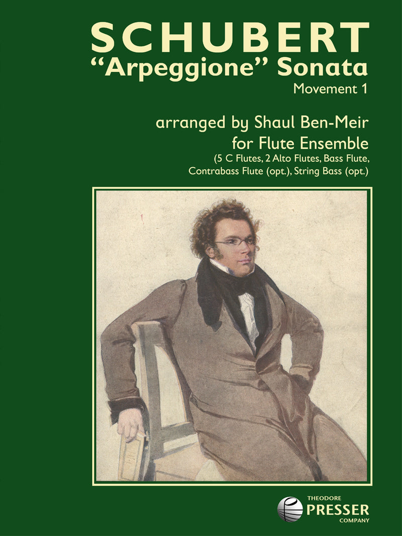 Arpeggione Sonata - Movement 1