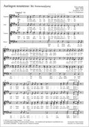 Auringon noustessa (Bei Sonnenaufgang)