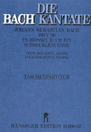 Es reißet euch ein schrecklich Ende, BWV 90 [study score]