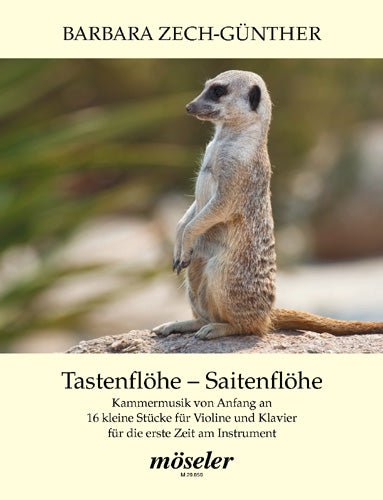 Tastenflöhe Saitenflöhe