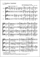 Wandrers Nachtlied, op. 25, 2