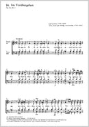 Im Vorübergehen, op. 81, 1