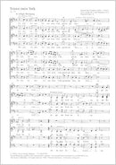 Drei Weihnachtschorsätze von Nössler, Richter und Riedel