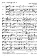 Herr, wenn Trübsal da ist