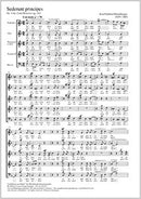 Sederunt principes (Fürsten beraten sich), op. 163, 3