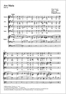 Ave Maria, FWV 62