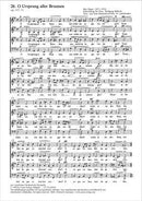 Klage vor Gottes Leiden, op. 137, 11