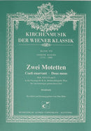 Zwei Motetten (Score)