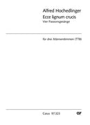 Vier Passionsgesänge