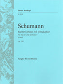 Concert Allegro with Introduction in D minor Op. 134