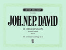 12 Orgelfugen durch alle Tonarten Wk 66, Vol. 2: Fantasia and Fugue in D major
