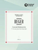 20 Responsories, No. 17