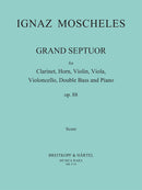 Grand Septuor in D major Op. 88