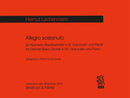 Allegro sostenuto