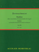 Studien über wesentliche Orchesterstellen, Vol. 3