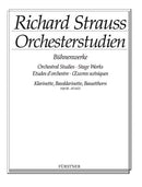 Orchestral Studies・Stage Works: Clarinet, Vol. 3