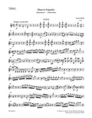 Missa in Angustiis Hob.XXII:11 "Nelson Mass" [violin 1 part]