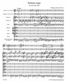 Tantum ergo K. 197 (Anh. 186e) [score]