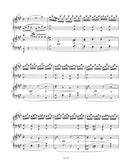 Concerto for Piano and Orchestra Nr. 24 C minor K. 491 (Edition for piano quintet)