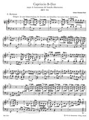 Miscellaneous Works for Piano, vol. 3