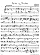 Sonate a-Moll D 821 "Arpeggione" (Arr. Clarinet and Piano)