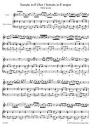 Two Sonatas for Violin and Basso continuo (from Essercizii musici) [score, part(s)]