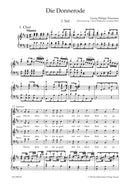 Die Donnerode TWV 6:3