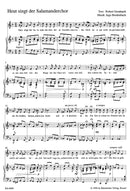 Heut singt der Salamanderchor