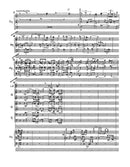 Introitus - Exodus für Orgel und Orchester (1976) [Study score]