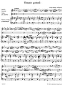 Sonata for Flute, Viola (Viola da Gamba) and Basso Continuo G minor TWV 42:g7 [score, part(s)]