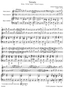 Trio Sonata for Two Flutes and Basso Continuo B-flat major