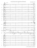 Konzert für Violoncello und Orchestra Nr. 2 (1992)